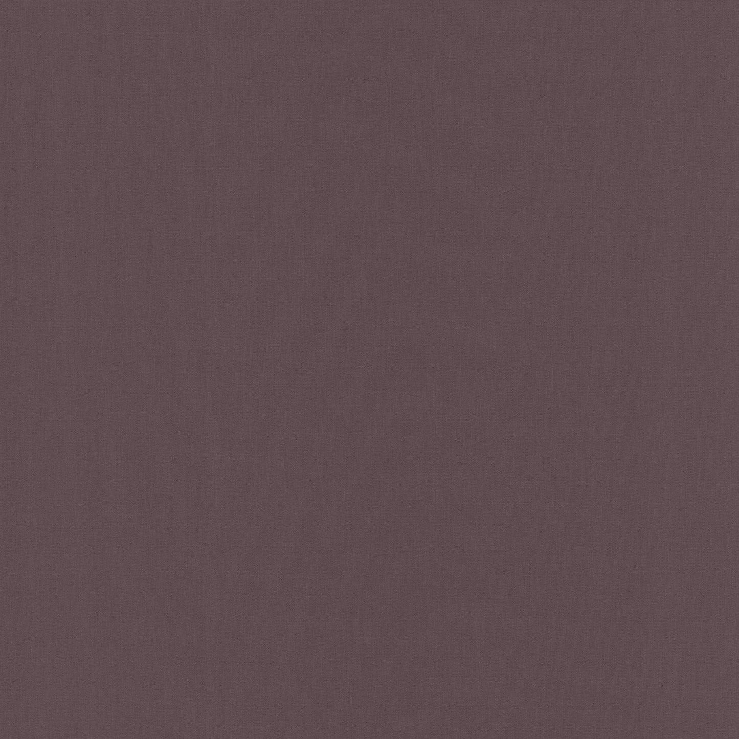 Tætvævet rullegardin, Clio Lyng